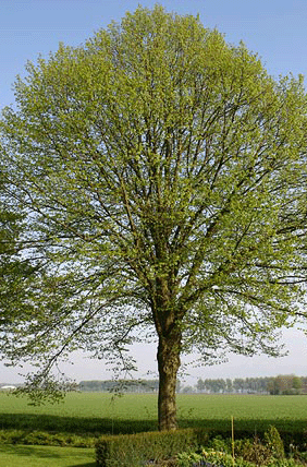 afbeelding "i_NL.IMRO.1667.BPBweij0008-VAST_0052.png"