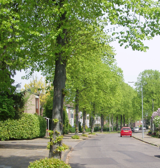 afbeelding "i_NL.IMRO.1667.BPBweij0008-VAST_0053.png"