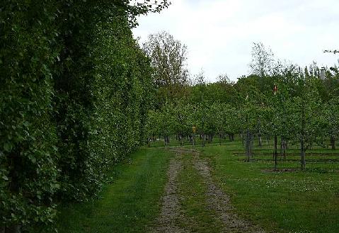 afbeelding "i_NL.IMRO.1676.00086BpGhp-vast_0012.jpg"