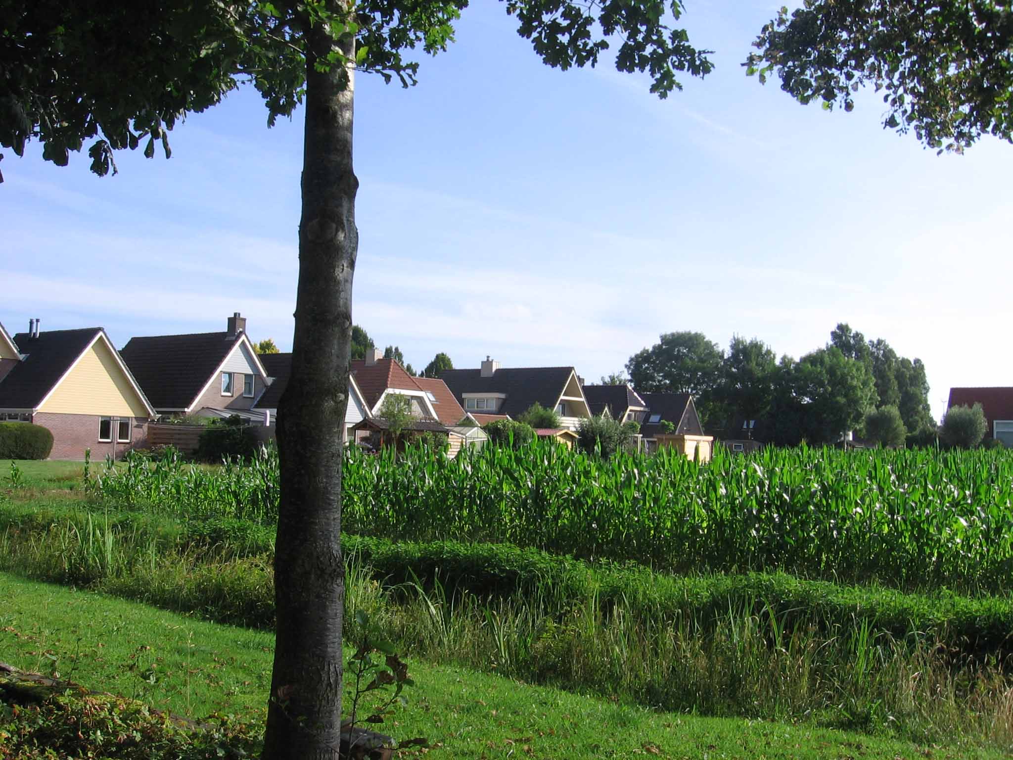 afbeelding "i_NL.IMRO.1690.BP00376-0401_0005.jpg"