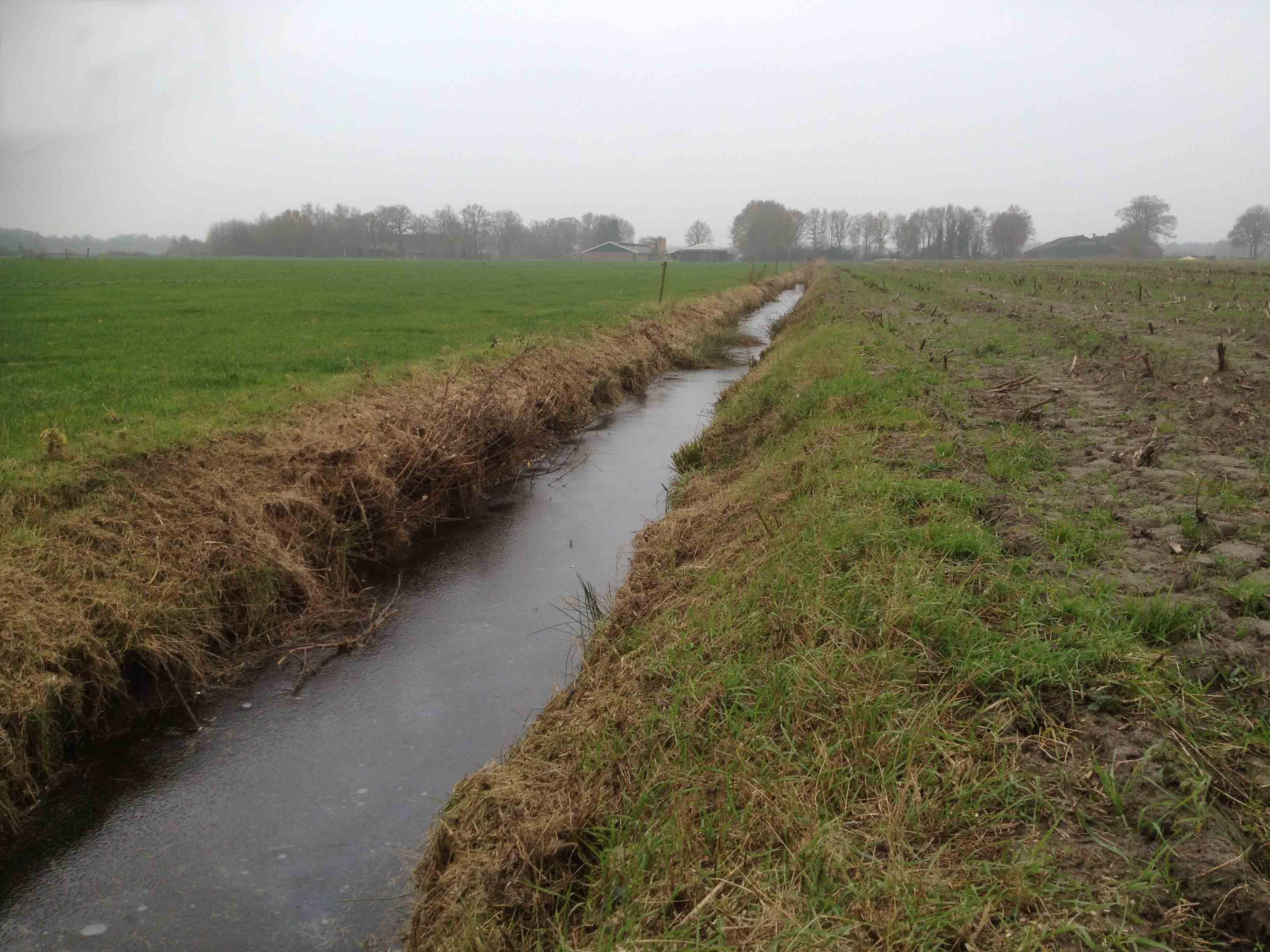 afbeelding "i_NL.IMRO.1690.BP00376-0401_0008.jpg"