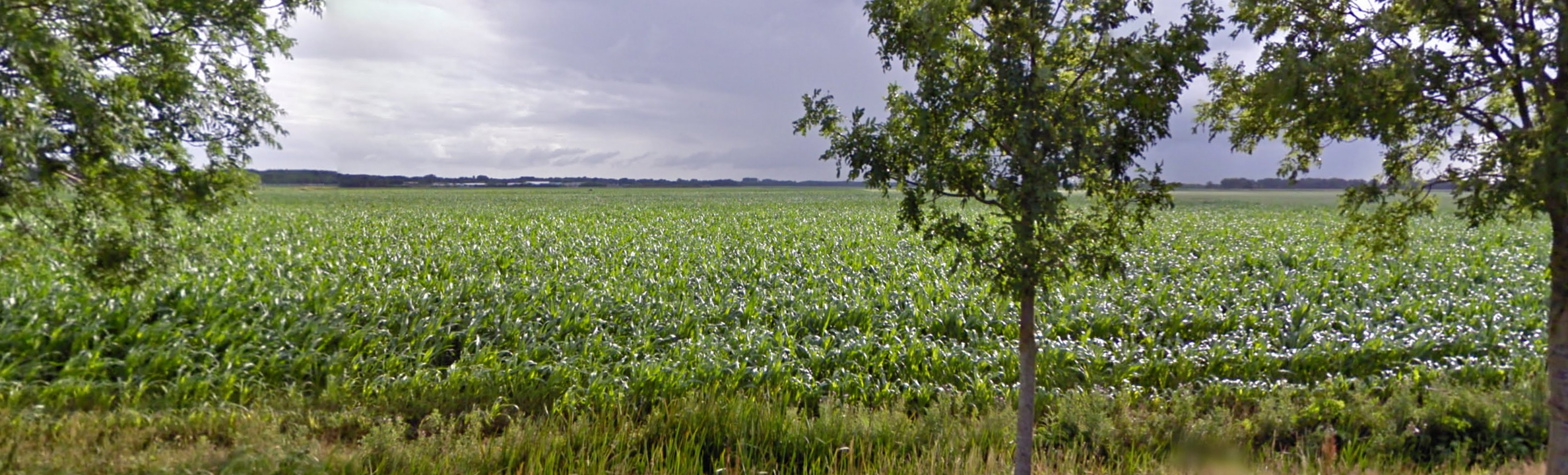 afbeelding "i_NL.IMRO.1701.0000BP000000000548-0003_0014.jpg"