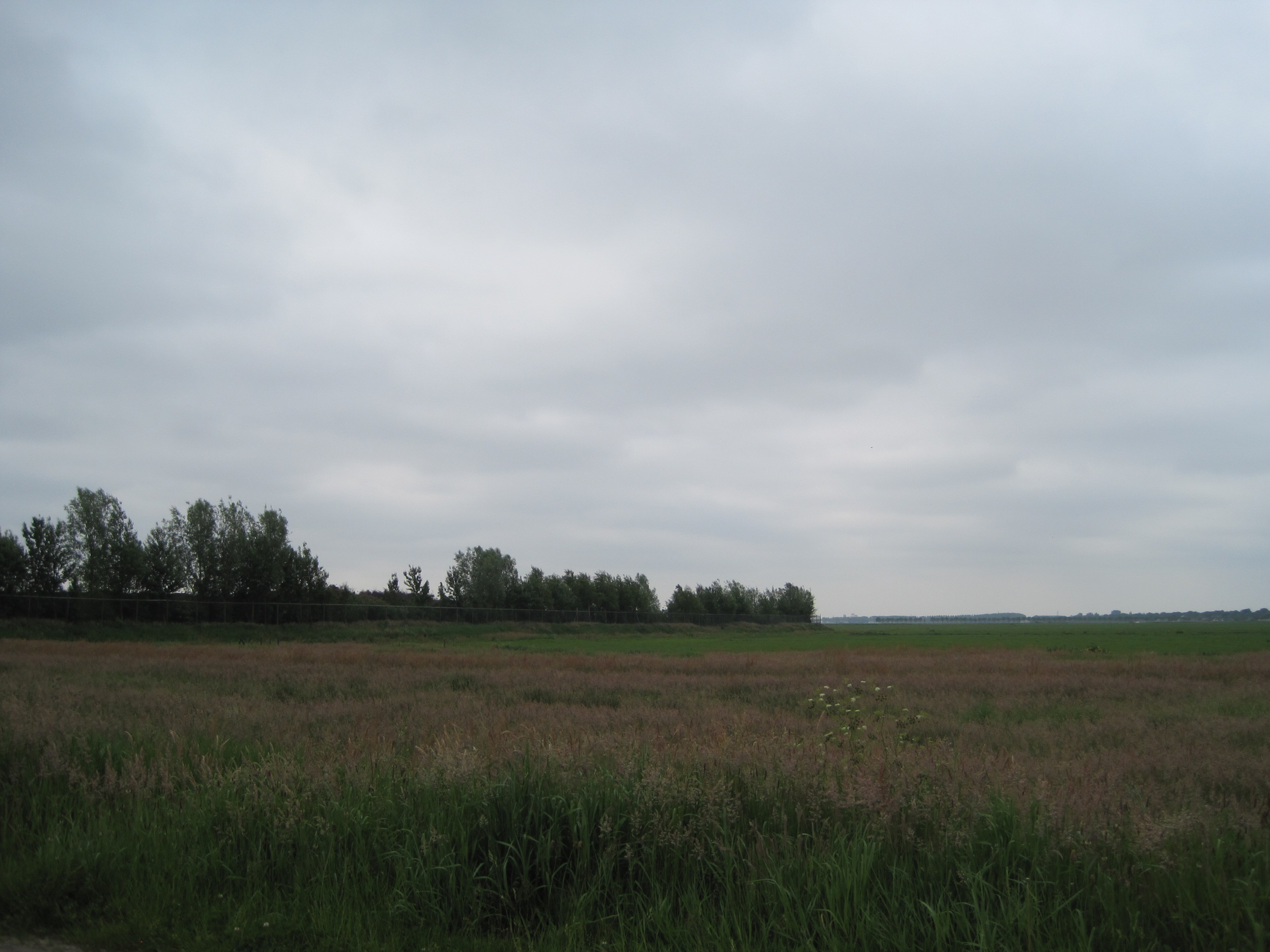 afbeelding "i_NL.IMRO.1701.0000BP000000000555-0004_0005.jpg"
