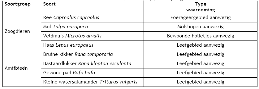 afbeelding "i_NL.IMRO.1701.0000BP000000000555-0004_0018.png"