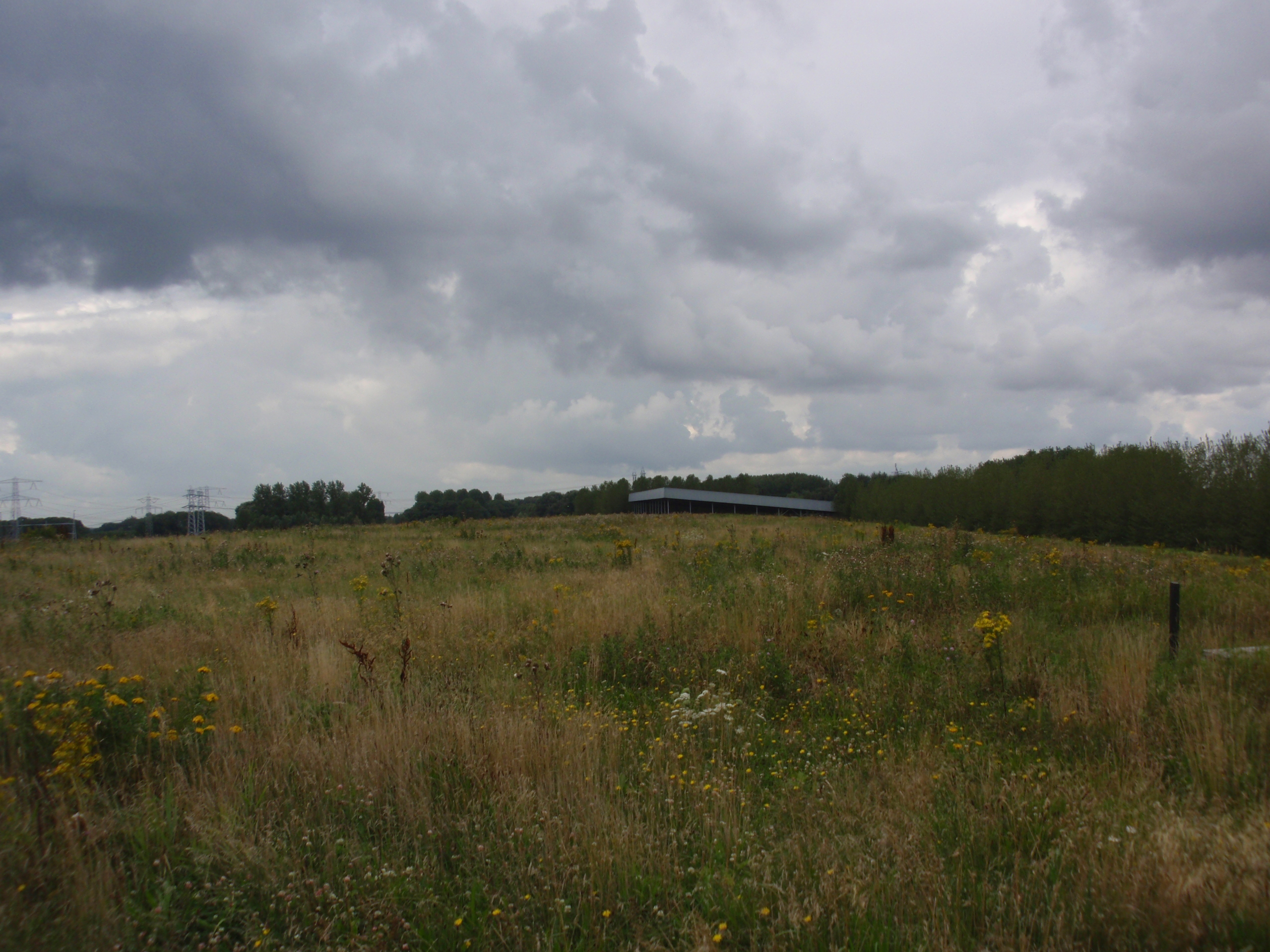 afbeelding "i_NL.IMRO.1709.GolfbaanMoerdijk-0401_0003.jpg"