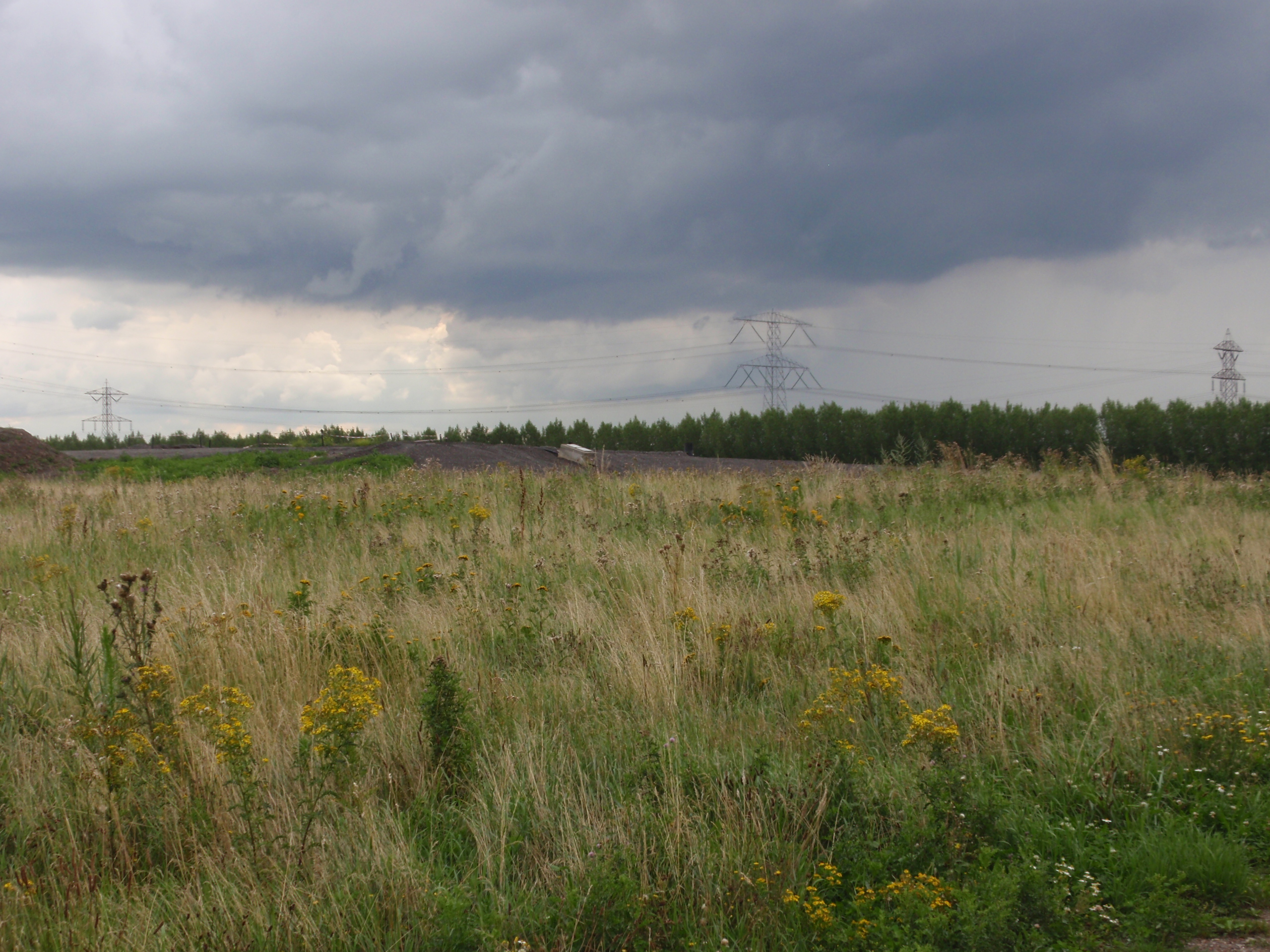 afbeelding "i_NL.IMRO.1709.GolfbaanMoerdijk-0401_0004.jpg"
