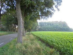 afbeelding "i_NL.IMRO.1711.BP20180063-VG01_0003.png"