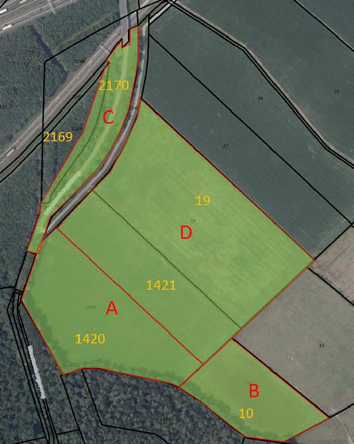 afbeelding "i_NL.IMRO.1723.wpevzboomkikker-VG01_0004.png"