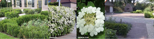 afbeelding "i_NL.IMRO.1740.bpKEnedereindstr29-vst1_0006.png"