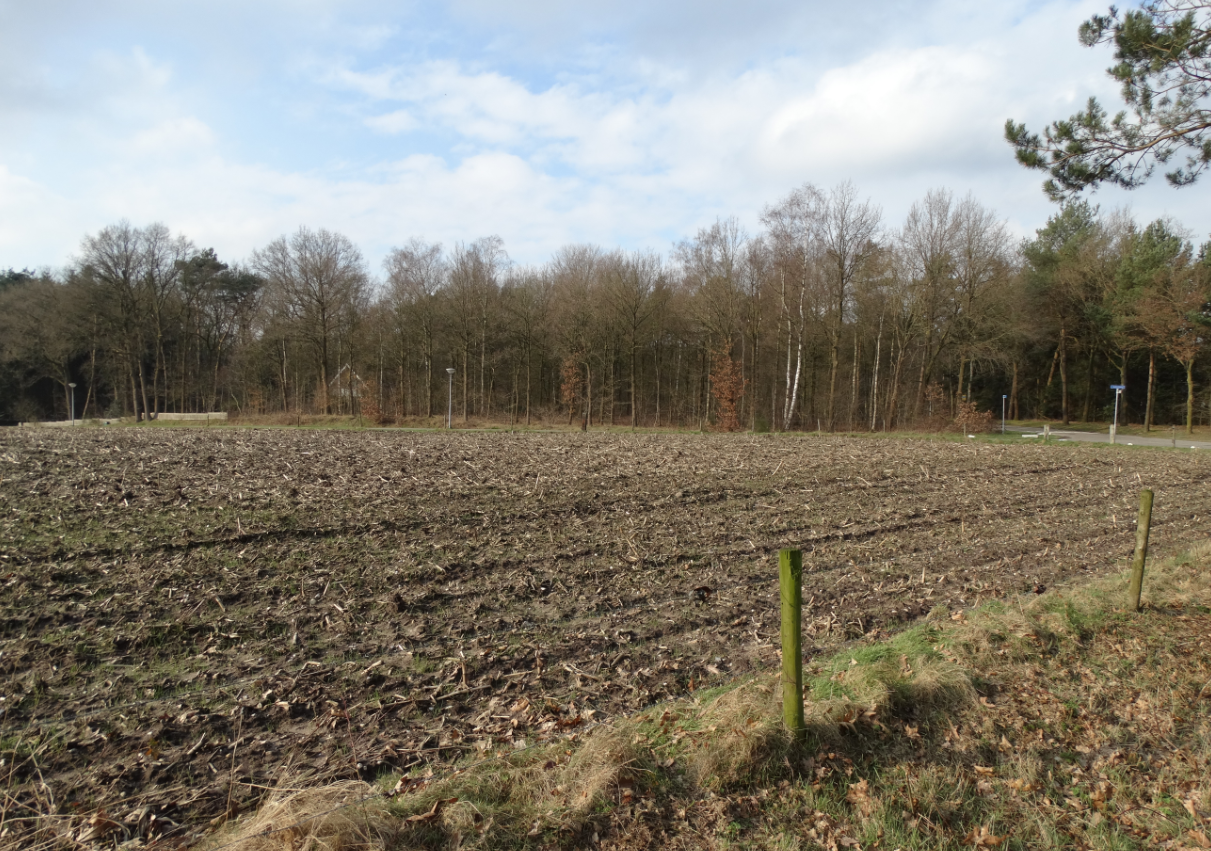 afbeelding "i_NL.IMRO.1742.BPB2016005-0401_0004.png"