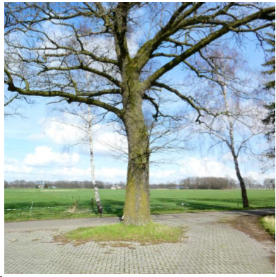 afbeelding "i_NL.IMRO.1773.BP2020001061-0301_0013.png"