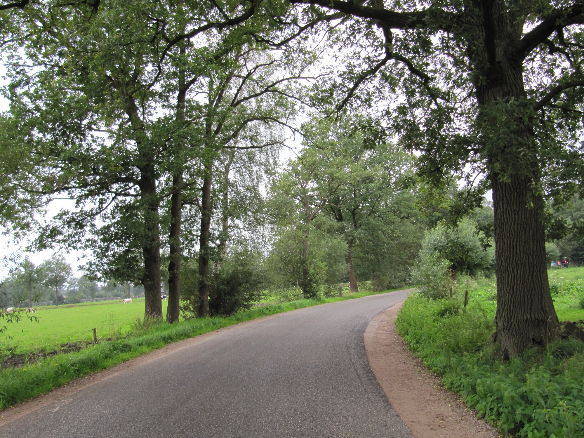 afbeelding "i_NL.IMRO.1774.BUIbphpdusinksweg-0401_0011.jpg"