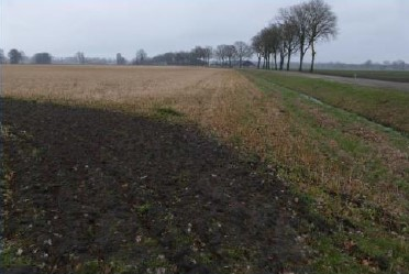 verplicht