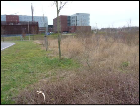 afbeelding "i_NL.IMRO.1883.BPWestRandMiddenw-VA01_0006.png"