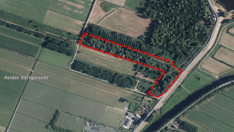 afbeelding "i_NL.IMRO.1961.BPDiefdijk21SW-VS01_0002.jpg"