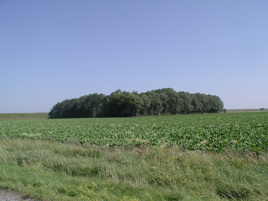 afbeelding "i_NL.IMRO.1966.BG2018-VS01_0010.jpg"