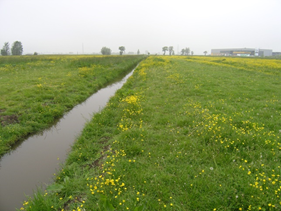 afbeelding "i_NL.IMRO.1978.BPSLNwestfase2-VA01_0007.png"